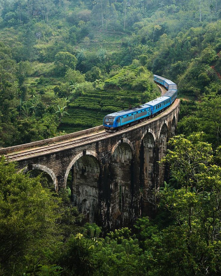 Sri Lanka Tour