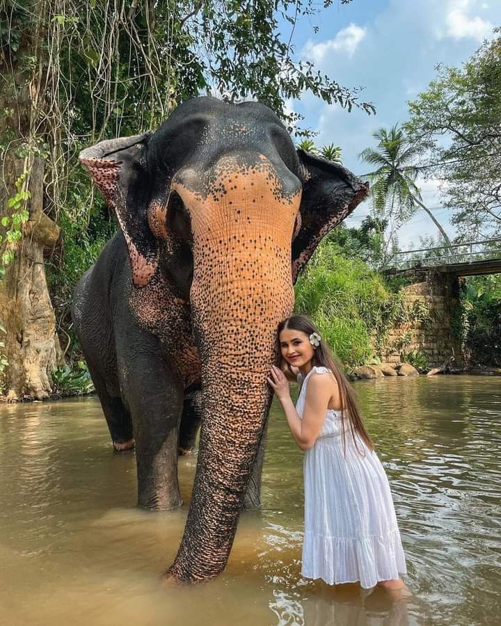 Sri Lanka Tour